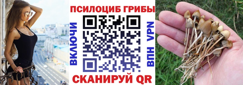 Галлюциногенные грибы мухоморы  Дубна 